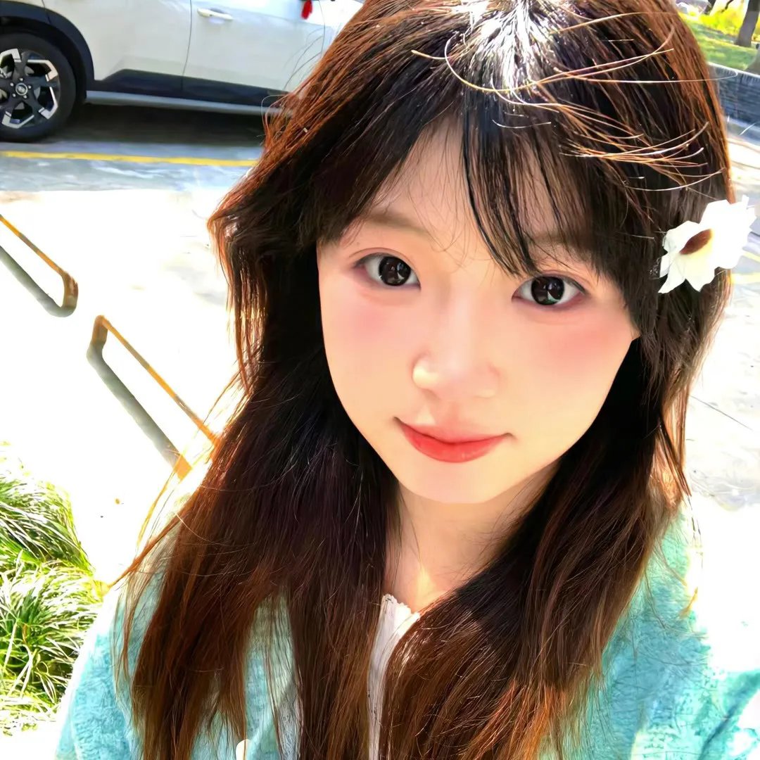春燕展翅
